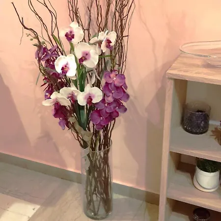 3 Brothers Iv Tríkala