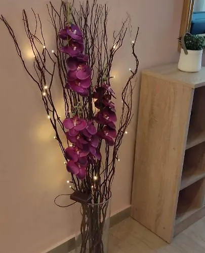 3 Brothers Iv Apartment