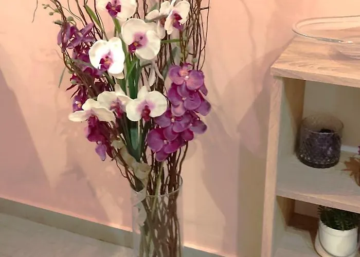 3 Brothers Iv Tríkala